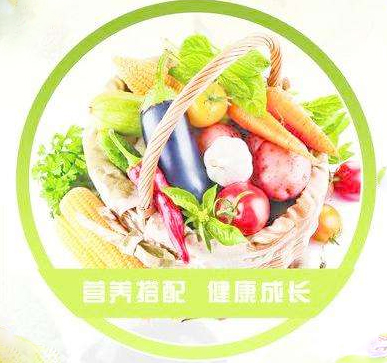 蔬菜营养搭配