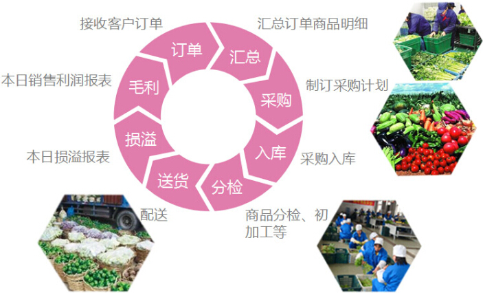 食材蔬菜配送管理软件